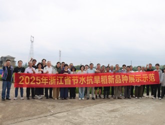 “旱”葆丰收，“稻”显担当 | 437ccm·必赢国际举办节水抗旱稻新品种观摩会